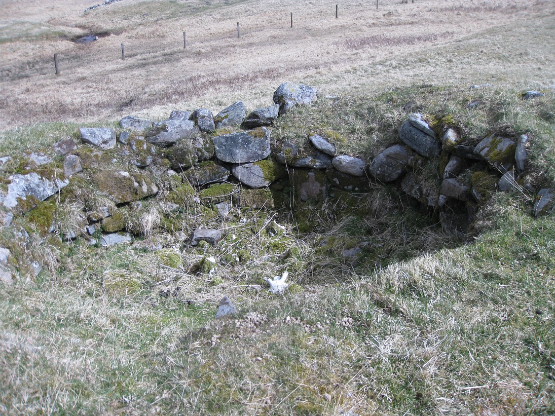 The circular sheep fank at Tomicaldonich 